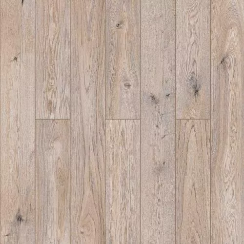 D50937 Дуб Джакомо