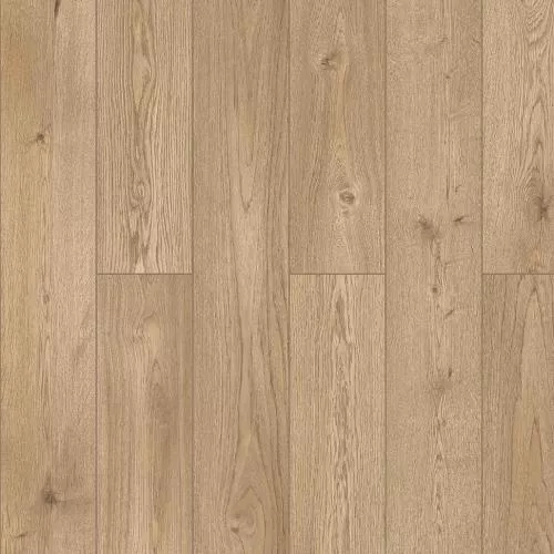 D50927 Дуб Орсель