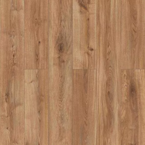 D50547 Дуб Ронта