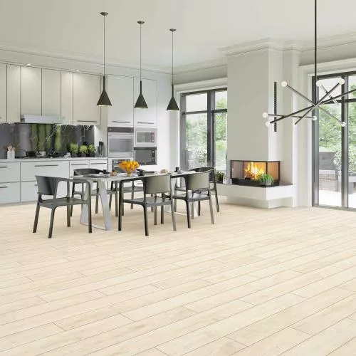 D40067 Дуб Арена