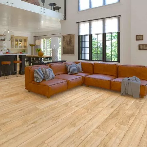 D40077 Дуб Юнити