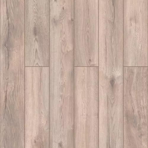 D40447 Дуб Мальва