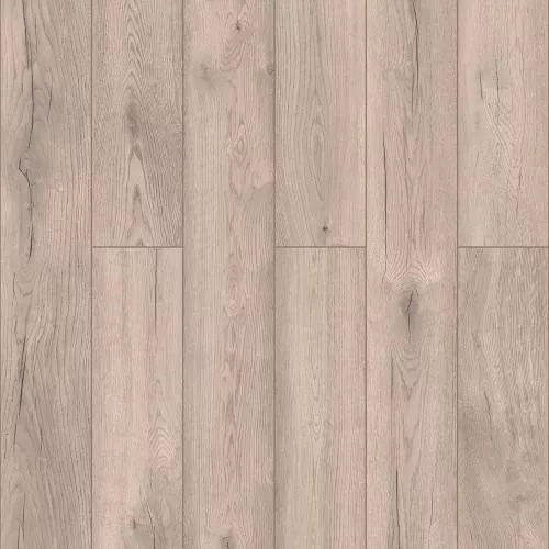 D4763 Дуб Мелоди