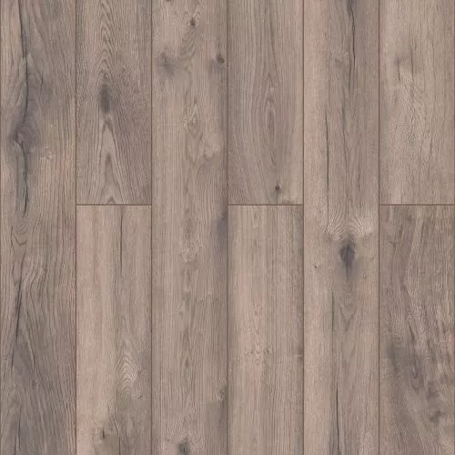 D49927 Дуб Дайкер