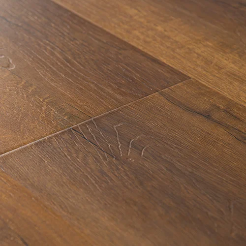 2411 Дуб Мореный