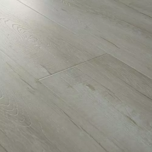 2412 Дуб Беленый