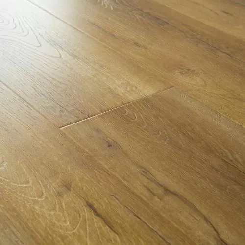 2413 Дуб Натур