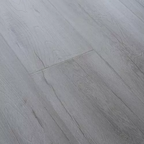 2416 Дуб Дымчатый