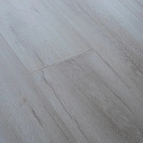 2416 Дуб Дымчатый