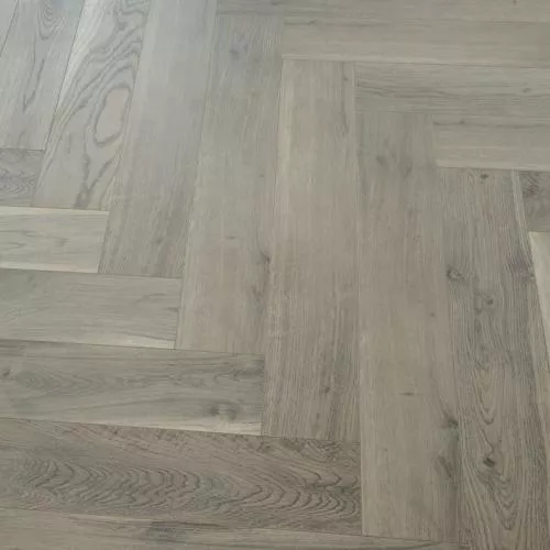 519 Дуб Оксфорд