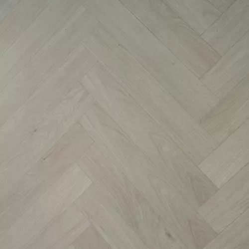 520 Дуб Бостон