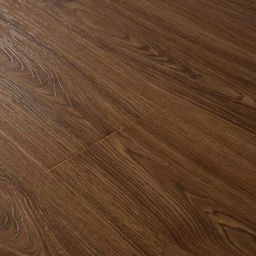 203 Дуб Морган