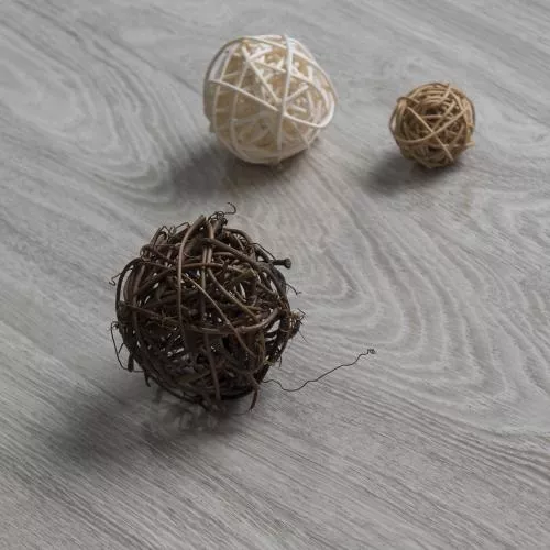 303 Дуб Батист