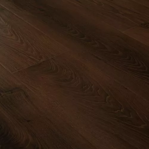 1206 Дуб Джаз