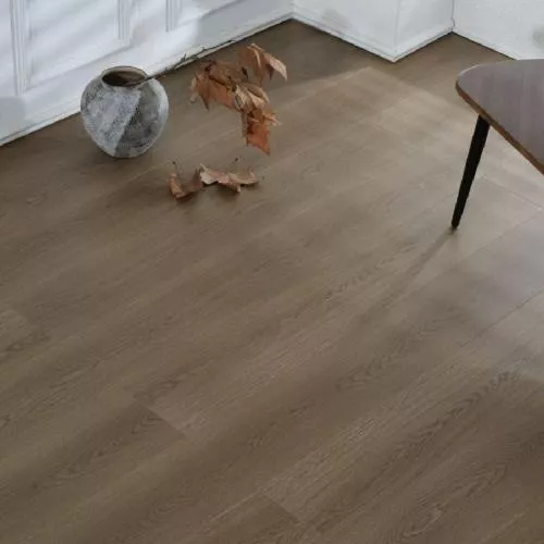 1213 Дуб Темный