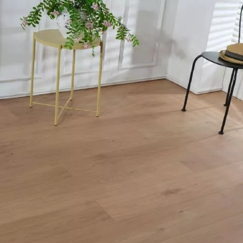 818 Дуб Медовый