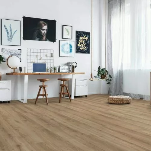  Дуб Арабика