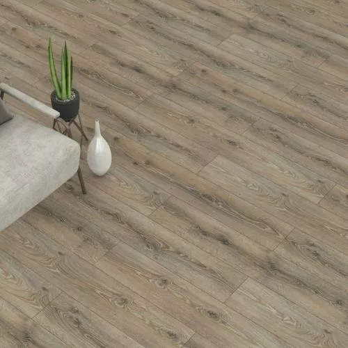  Дуб Марсель