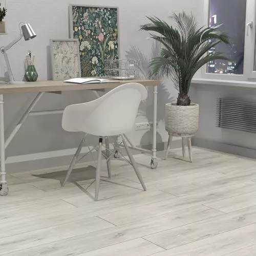  Дуб Неаполь