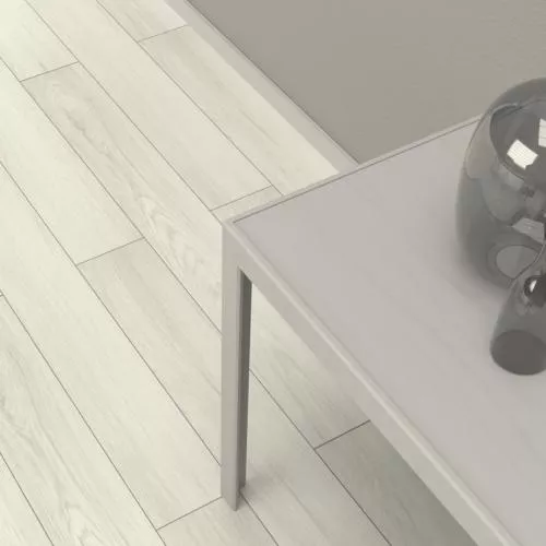  Дуб Палермо