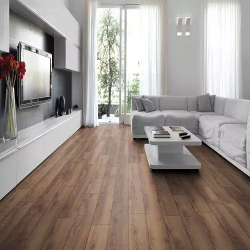 LTR582 Дуб Анзерский