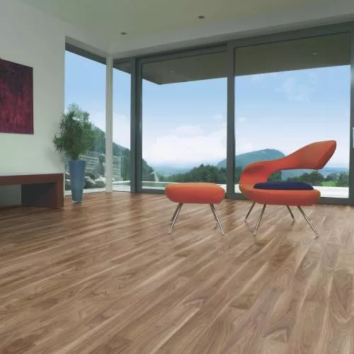 37293 Ah Walnut Paran