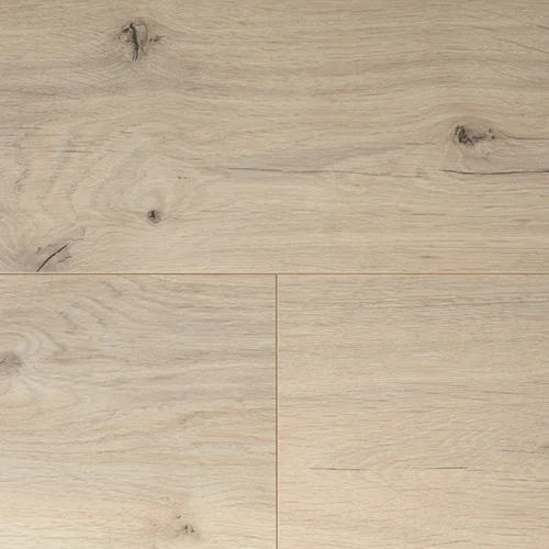 DYPV254 Дуб Намур