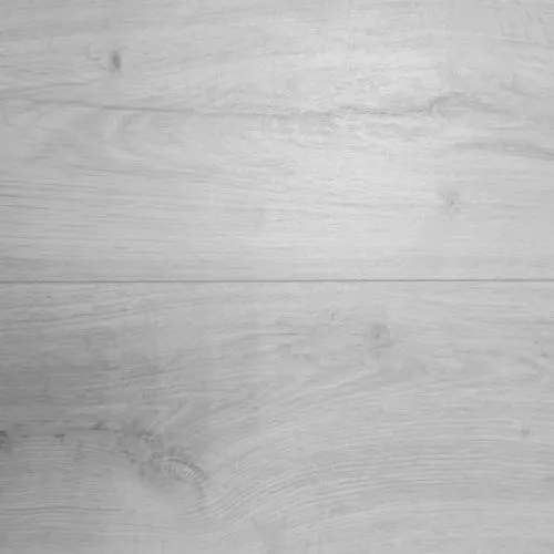 DYPV261 Дуб Эрфур