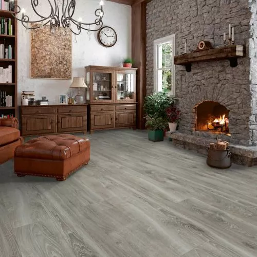 ML1013 Дуб горный серебристый