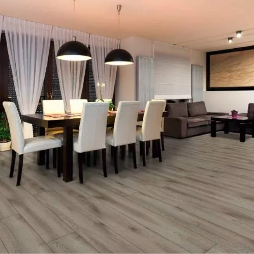 ML1027 Дуб Пилатус титан