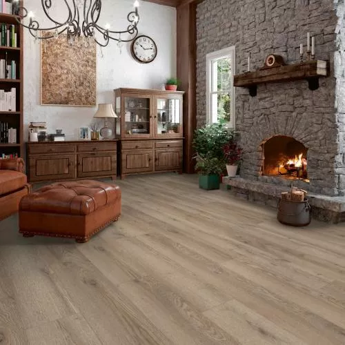 ML1031 Дуб горный кремовый