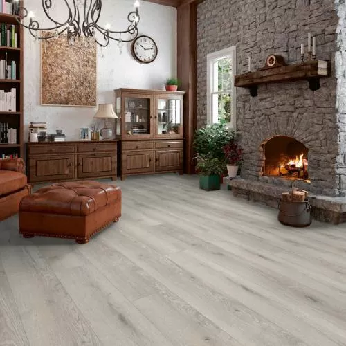 ML1032 Дуб горный белый