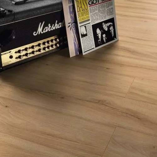 M1231 Дуб фермерский