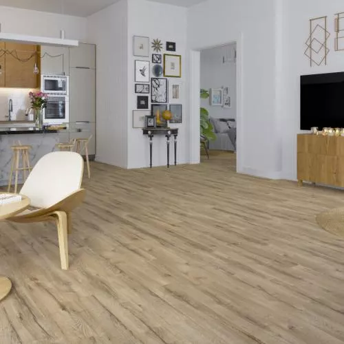 D3282 Дуб Мальтус