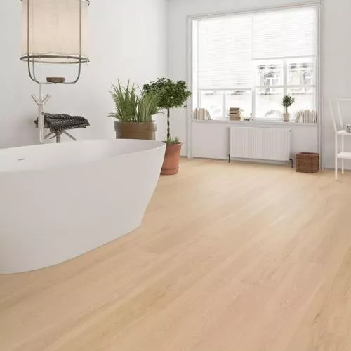 62968 Шёнбрунн