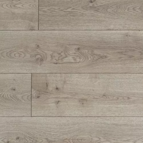 MS2412 Дуб Мадрид