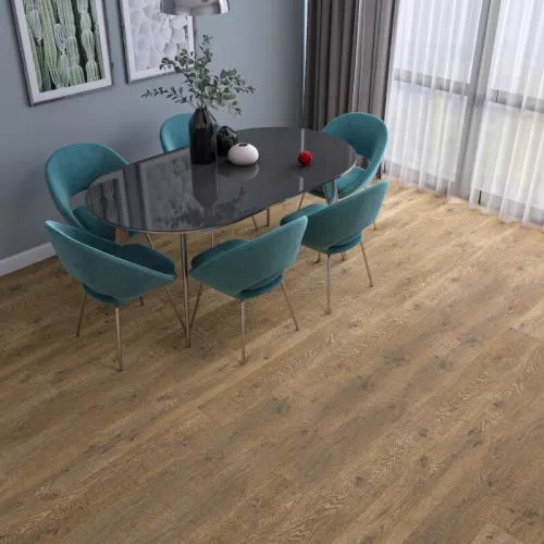 MS2912 Дуб Кёльн