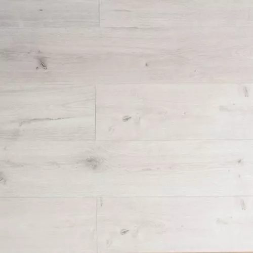 MS318 Дуб Токио