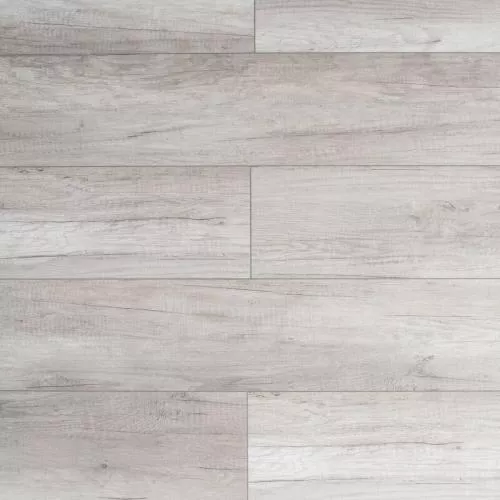 MS328 Дуб Сеул