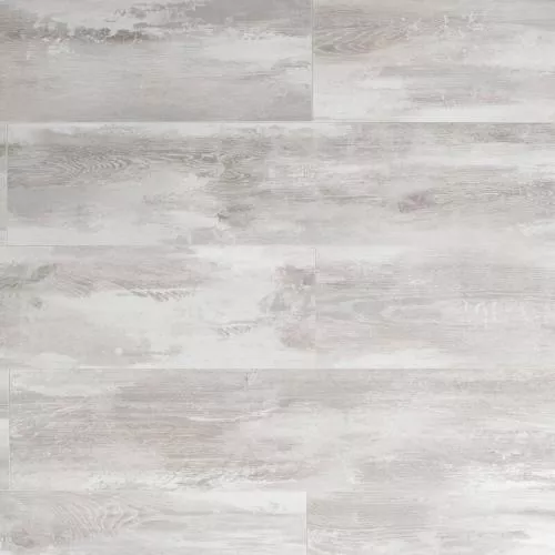 MS338 Дуб Сидней