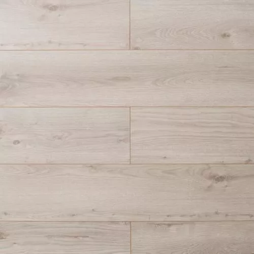 MS368 Дуб Каир