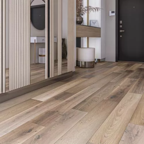 MS388 Дуб Нью-Йорк