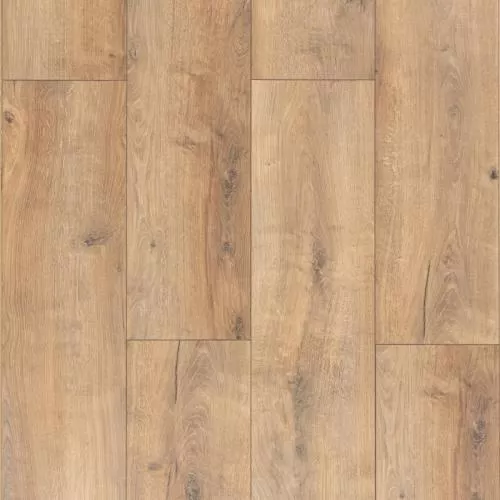 MS488 Дуб Дакка