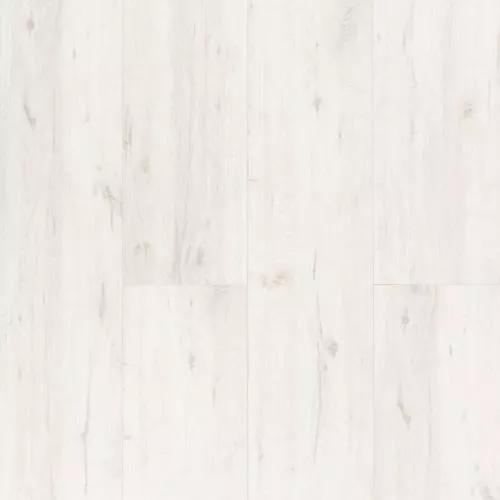 MS498 Дуб Осака