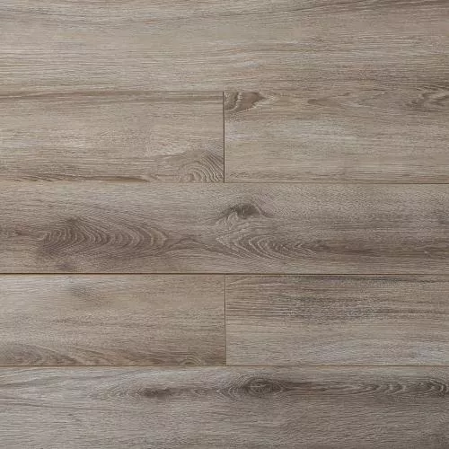 LNH 4-8 Дуб Тигровый