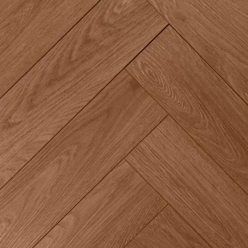 LNH 3-6 Дуб Луизиана