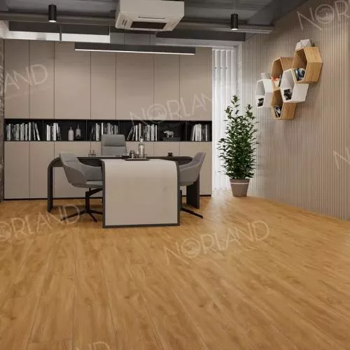 LF301-10 Дуб Хонсю