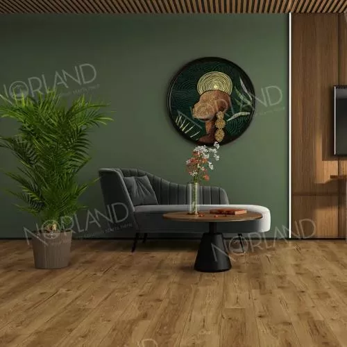 LF301-18 Дуб Корсика