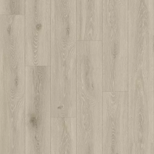 BW-01 Дуб Кубань