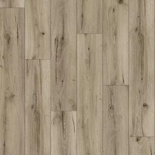 BW-06 Дуб Урал